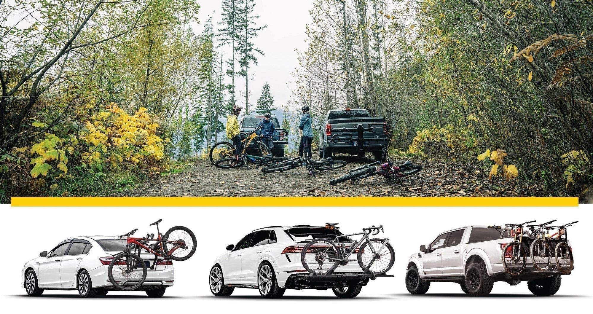 The Ultimate Guide to Saris Bike Racks: Trunk, Hitch & Specialty Options
