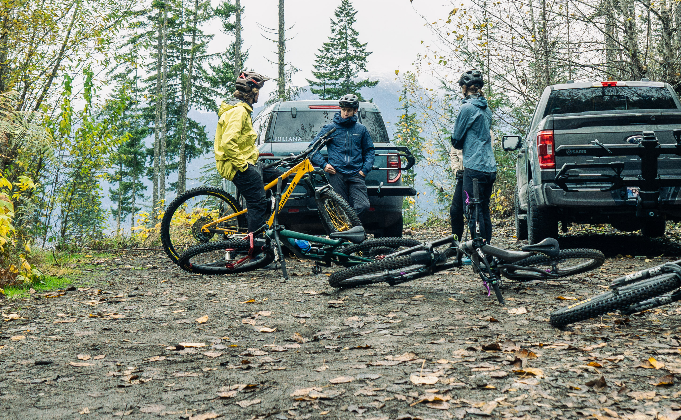 The Ultimate Guide to Saris Bike Racks: Trunk, Hitch & Specialty Options